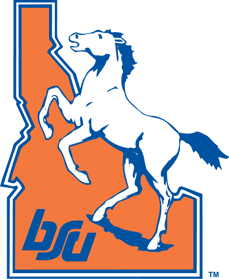 Boise State Broncos 1983-2002 Alternate Logo t shirts iron on transfers